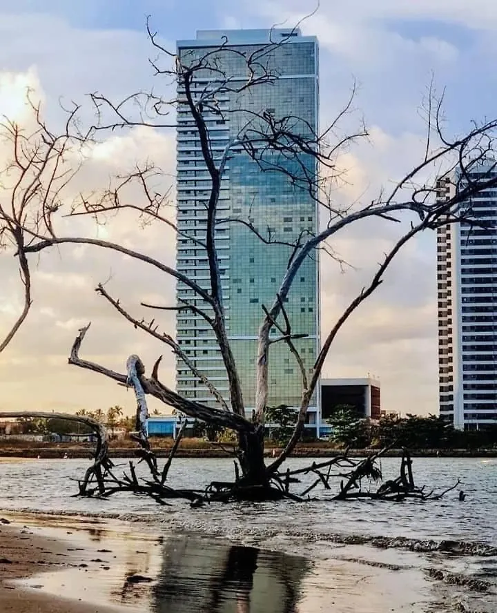 Luxury Paiva Flat Apartamento Recife